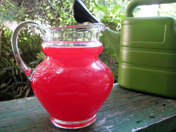 Absolutely Perfect Kool-Aid. Photo by gailanng