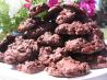 Chocolate Molasses Raisin Cookies. Recipe by Sydney Mike