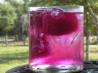 Prickly Pear Health Water