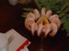 Easy Seafood Cocktail Sauce