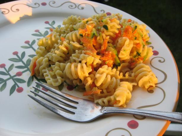 Zucchini Carrot and Parmesan Sauce. Photo by averybird