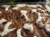 Easy Mississippi Mud Sheet Cake. Recipe by Kittencalskitchen