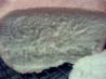 Unknownchef86's French Countryside Bread (Abm)