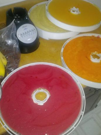 Fruit Roll-Up. Photo by aterveen