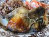 Rock Cornish Game Hens With Apple Jelly Glaze. Recipe by carolinajewel
