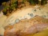 Baked Horseradish Salmon With Chardonnay Chive Butter Sauce. Recipe by lazyme