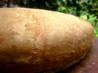 Schlotzsky's Bread