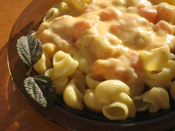 Very Low Fat Tomato Alfredo Sauce. Photo by Pneuma