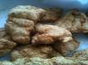 Southern Fried Catfish. Recipe by Shawn C