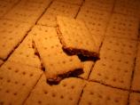 Graham Crackers (Gluten Free)