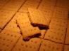 Graham Crackers (Gluten Free)