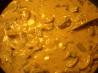 Leftover Roast Beef Stroganoff