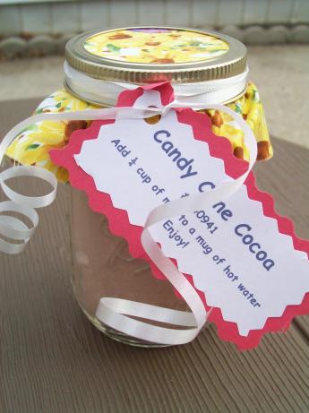 Candy Cane Hot Cocoa Mix. Photo by AZPARZYCH