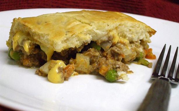 Ye Ol' New Beef Pot Pie. Photo by VickyJ