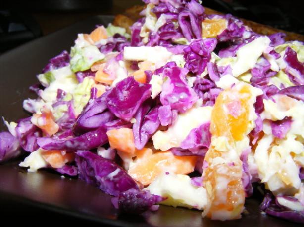 Red Cabbage and Fruit Slaw. Photo by Sarah_Jayne