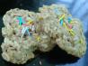 Banana Oatmeal Cookies. Recipe by iewe