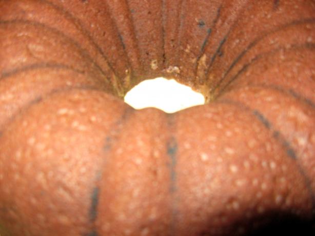 Mashed Potato Chocolate Cake. Photo by mary winecoff