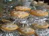 Magical Christmas Fairy Cakes - Christmas Fairy Cupcakes