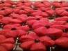 Poinsettia Blossom Cookies