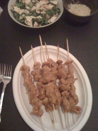 Shish Taouk (Tawook)/ Chicken Kebab. Photo by Camel_Cracker