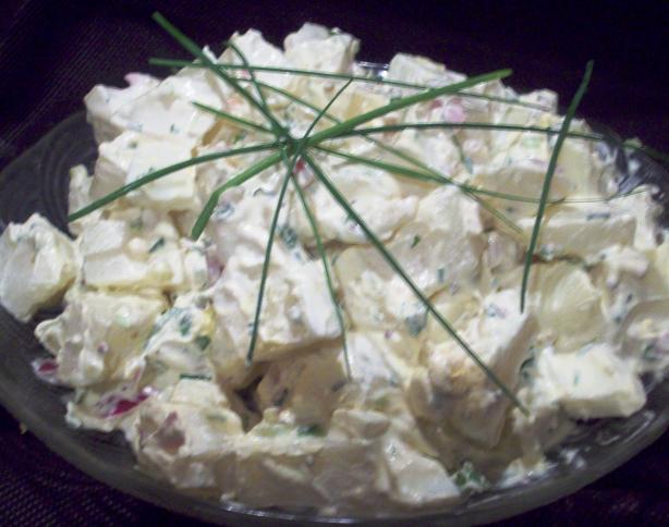 Tart and Tangy Potato Salad. Photo by Tisme