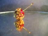 Chocolate-Dipped Cherries With Pistachios