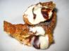 Ridiculously Easy 4-Ingredient Chocolate Chip Won Tons