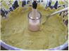 Ninfa's Green Sauce