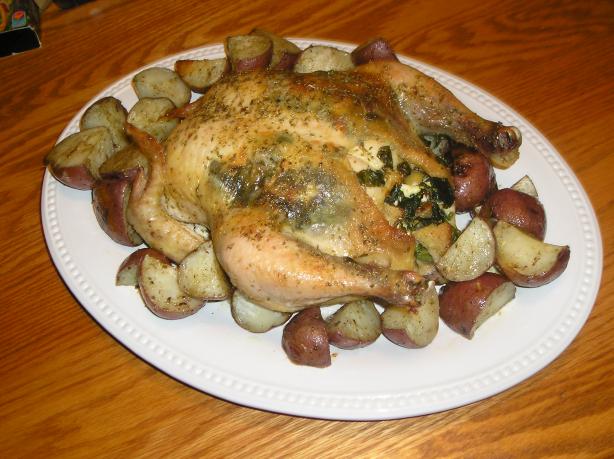 Greek Style Roasted Chicken. Photo by Edesia