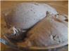 Coffee Ice Cream. Recipe by Babs7