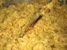 Savoy Cabbage Risotto. Recipe by Lalaloula