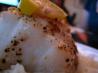Simple Oven-Baked Sea Bass