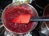 Raspberry Jam