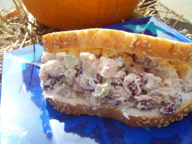 Crazy Craisins Chicken Salad. Photo by AZPARZYCH