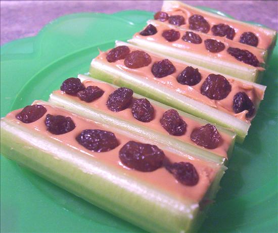 Ants on a log. Photo by * Pamela *