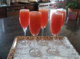 Blushing Rose Mimosa. Photo by Marianne5