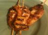 Garlic Grilled Chicken Kabobs. Recipe by Julie F
