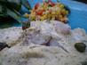 Roasted Fish in a Mustard Sauce - Barefoot Contessa.. Recipe by LifeIsGood