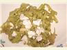 Spinach Fettuccine With Sun-Dried Tomatoes & Goat Cheese. Recipe by Dancer^