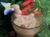 Suada over Ice. Recipe by Annacia