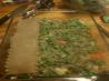 Low Cal Garlic Asparagus Lasagna
