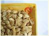 Pumpkin Pie Seeds