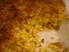 Baked Macaroni and Cheese. Recipe by Linda N