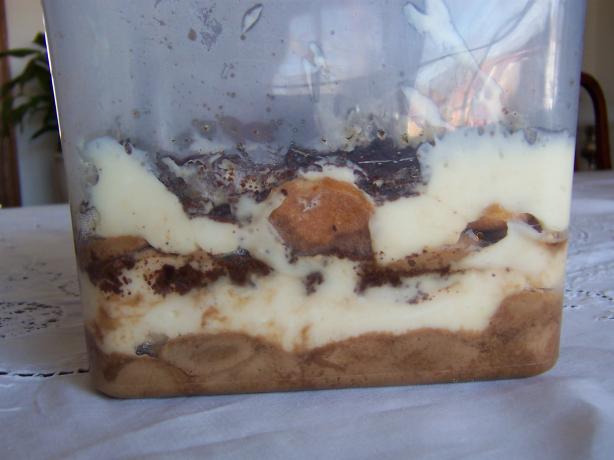 Italian  Light Tiramisu My Signature Dessert. Photo by Healthy Debbie