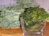 Tuscan Kale Chips