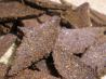 Pear & Banana Bunny Rabbit Treats for Bunnies/Rabbits. Recipe by Sandi (From CA)