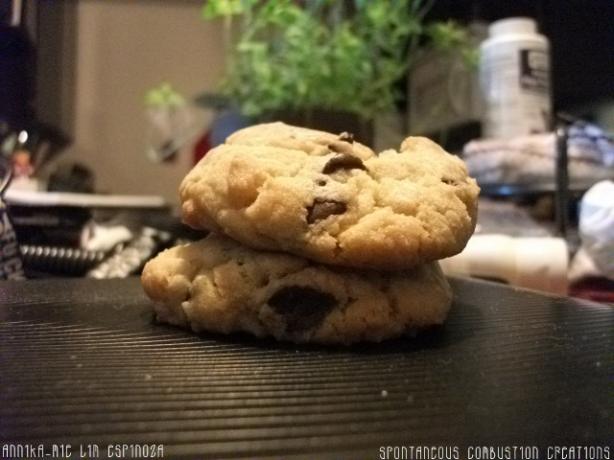 The Best Soft Chocolate Chip Cookies. Photo by Nika The Mad Baker
