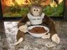 Vegan Chocolate Cream of Wheat With Ground Flax Seeds. Recipe by Chef #1155174