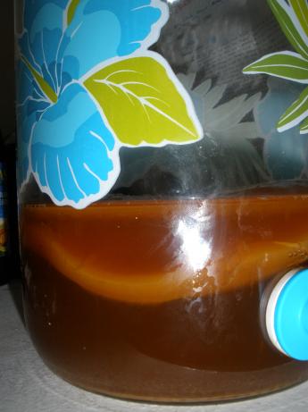 Kombucha Scoby Recipe