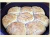 Sourdough Angel Biscuits